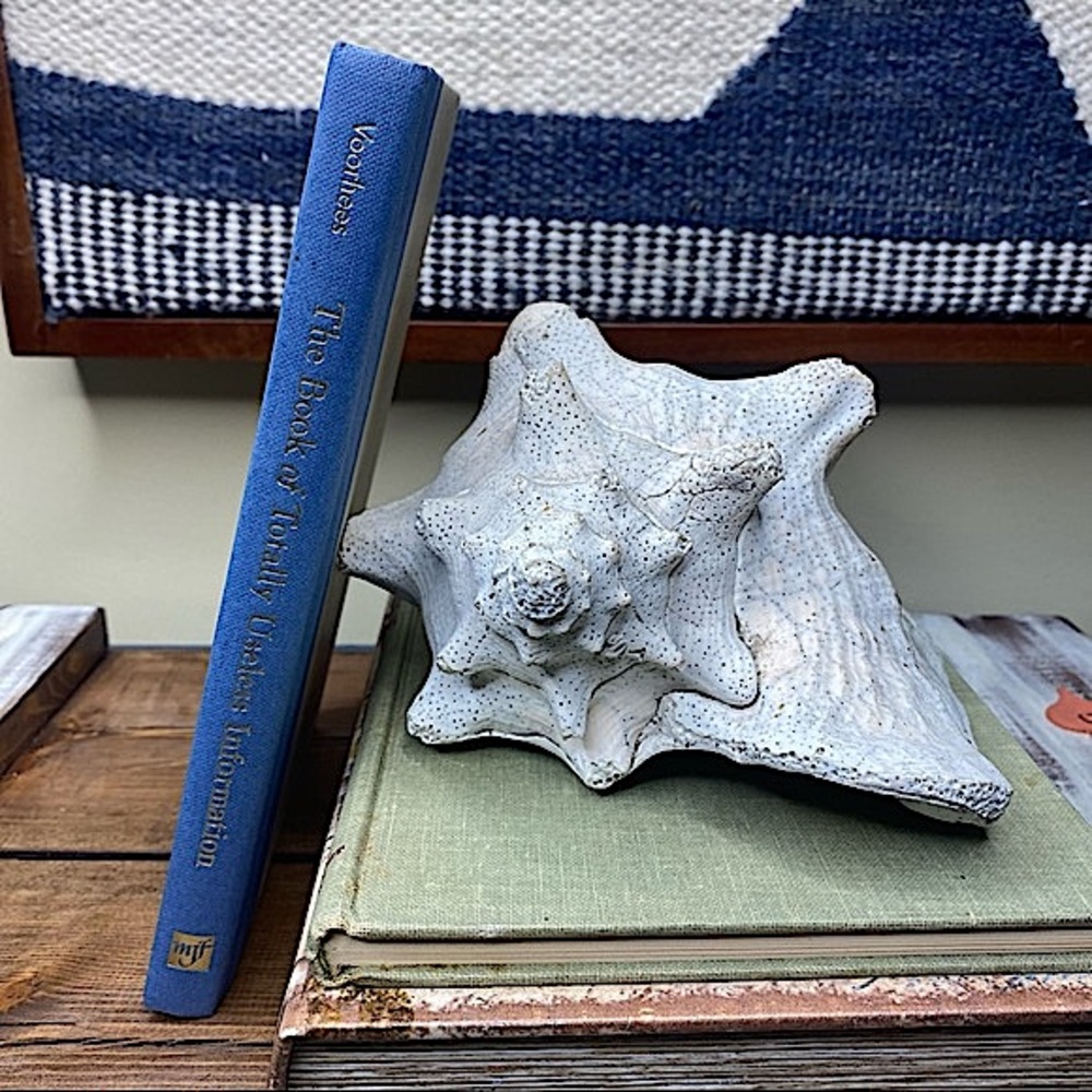The Book of Totally Useless Info Coffee table Book